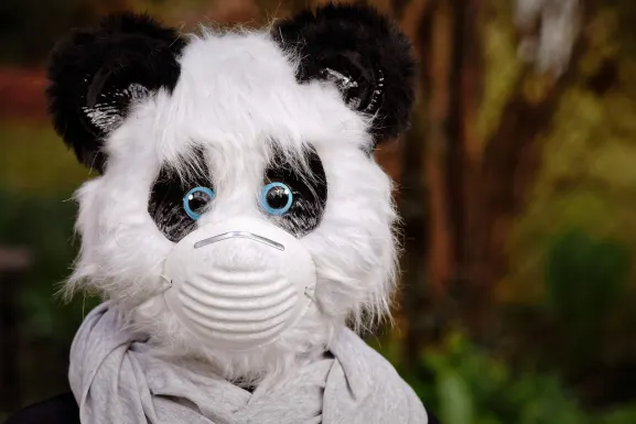 Casino Hot Line Kundeservice